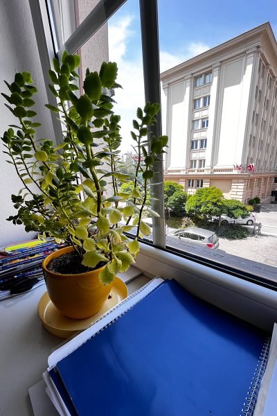 nauka-języków-obcych-w-rzeszowie-germanitas