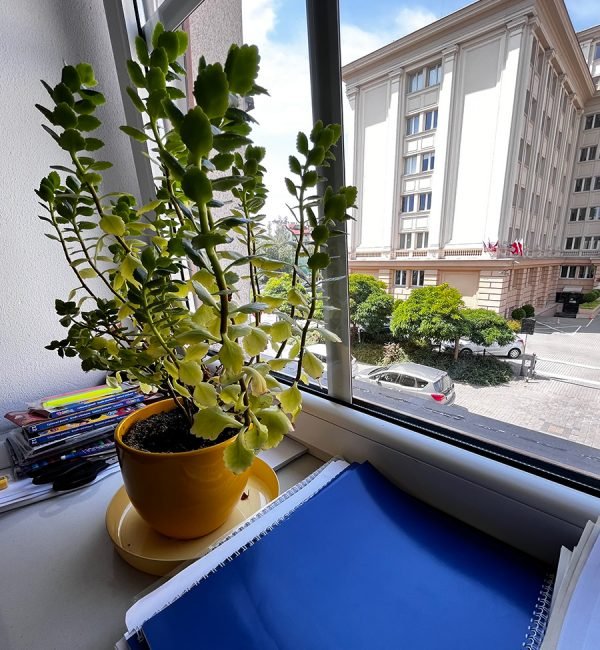 nauka-języków-obcych-w-rzeszowie-germanitas